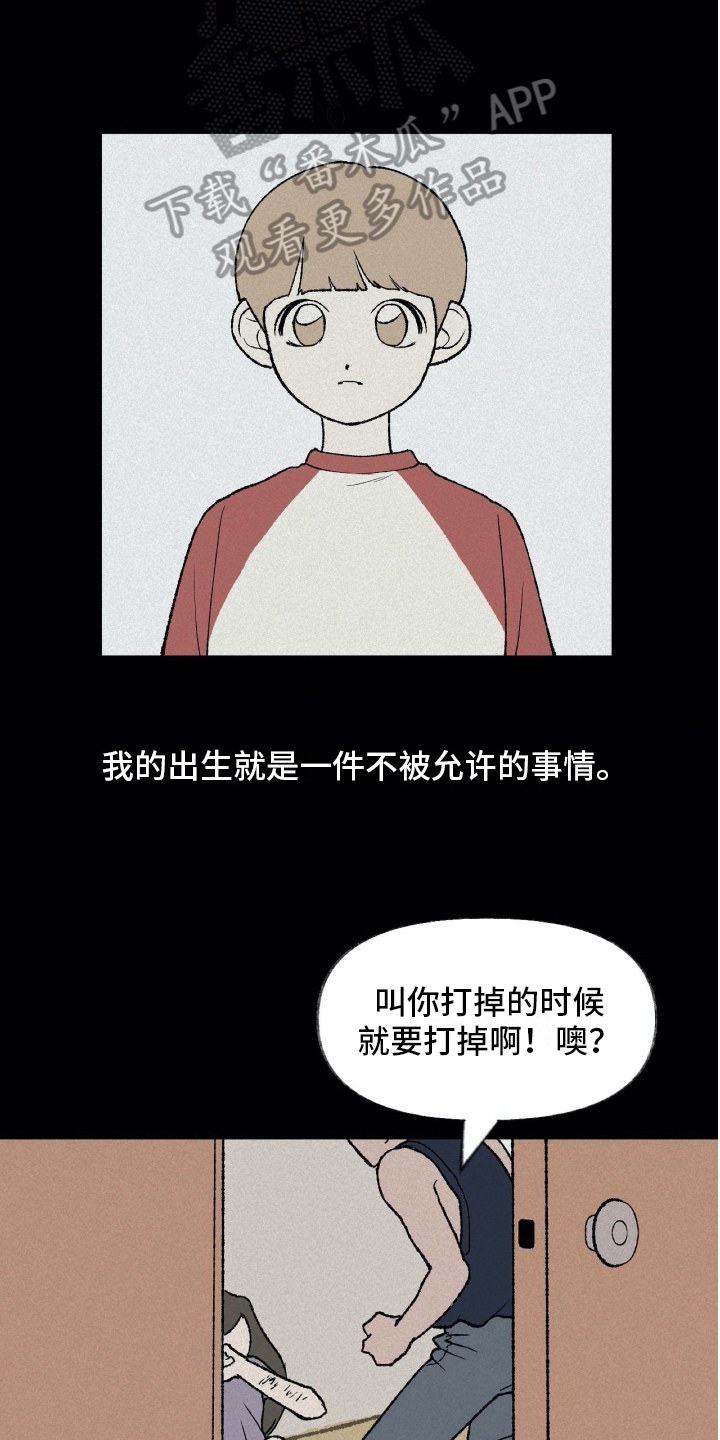 第15章：理解3