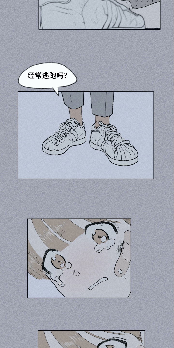 第3章：关怀12