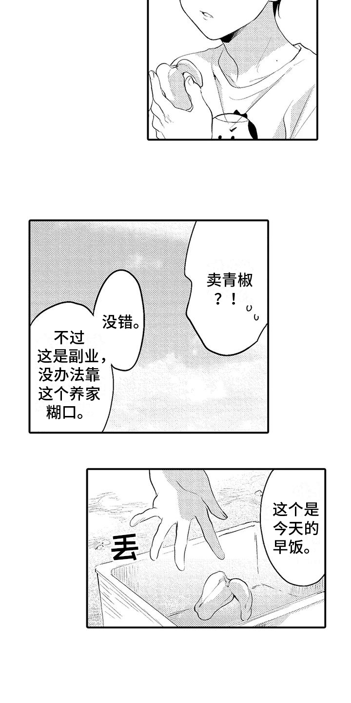 第3章：干活9