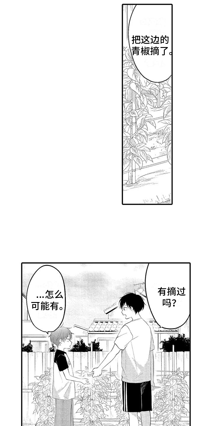 第3章：干活6