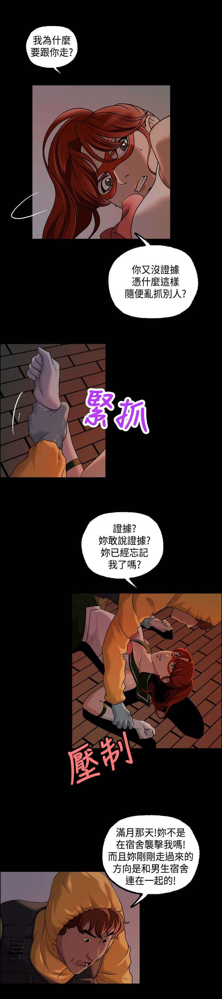 第20章：追捕蒙面女8