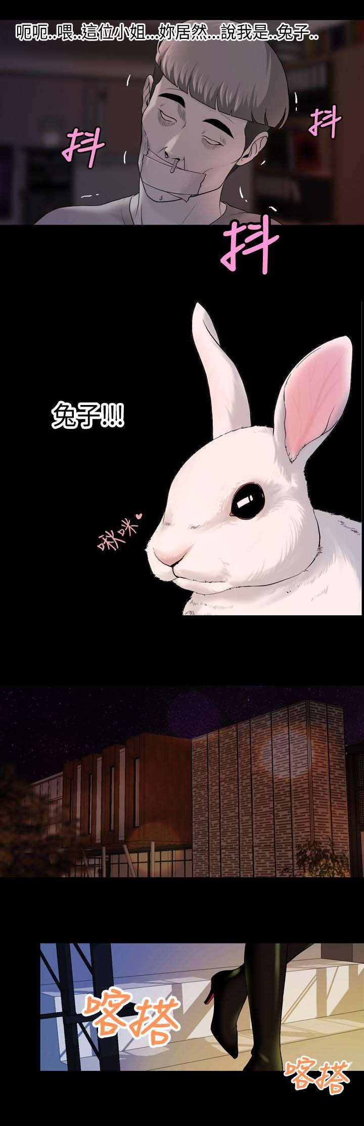 第20章：追捕蒙面女0