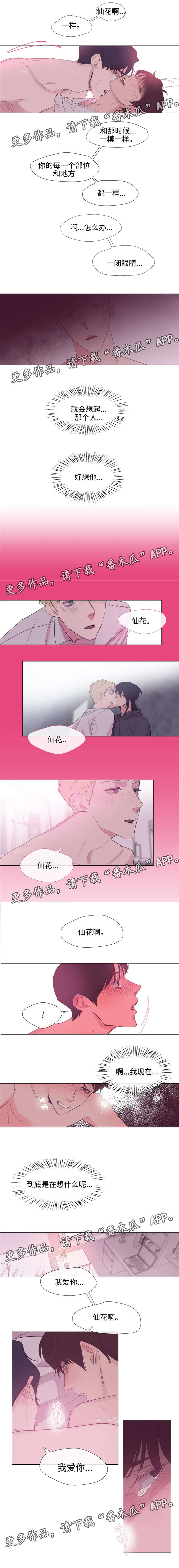 第56章：我爱你1