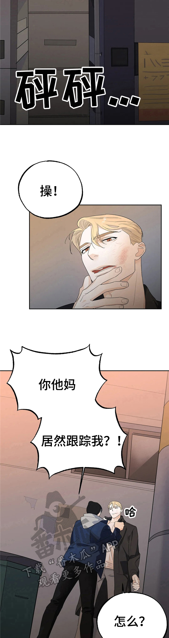 第13章：决定5
