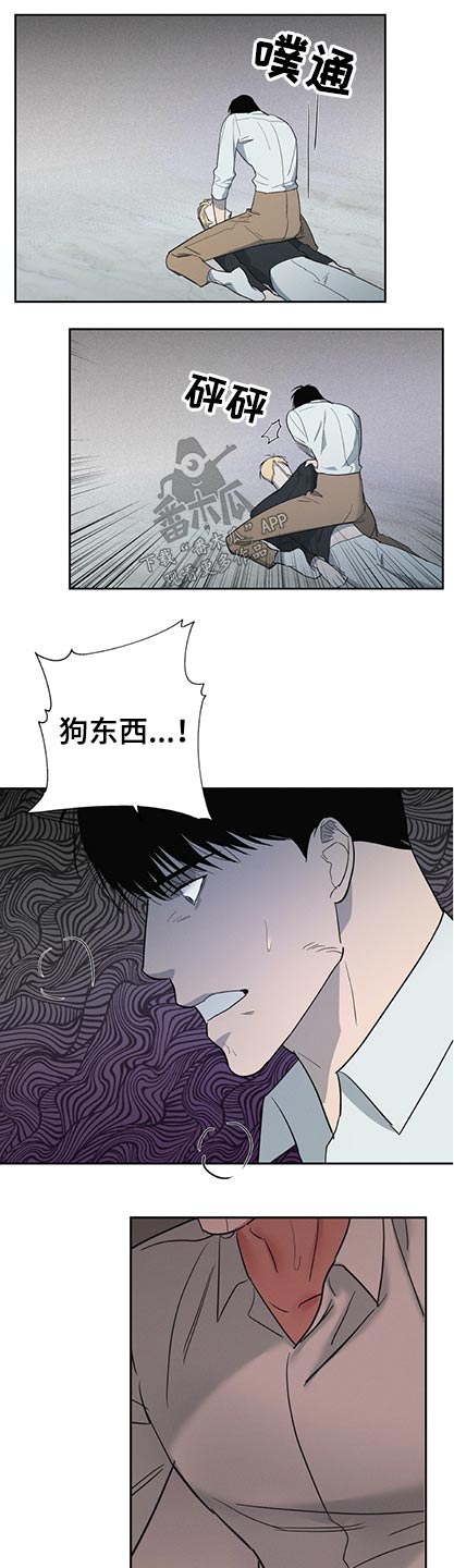 第56章：第七养子【完结】7