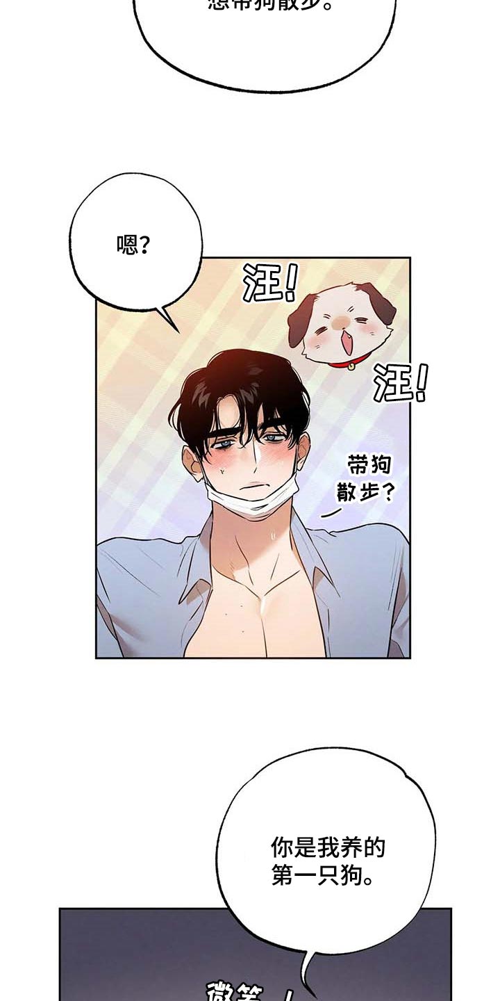 第50章：散步5