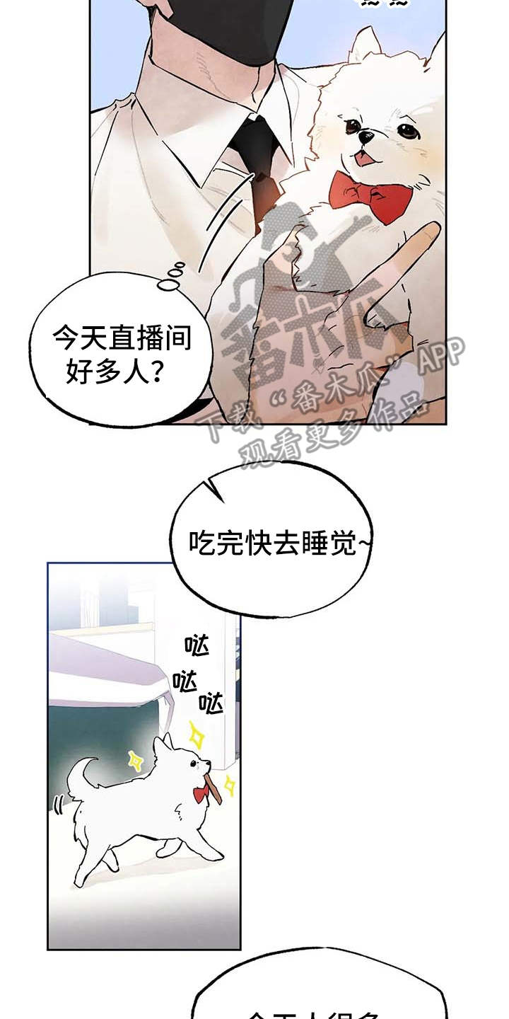 第26章：直播18