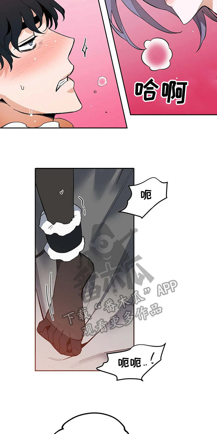 第17章：挑毛病1