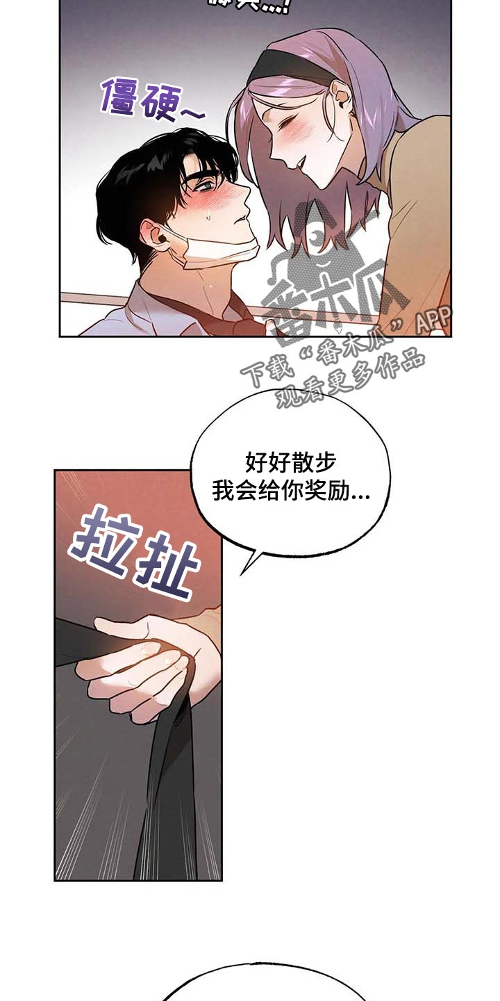 第50章：散步6