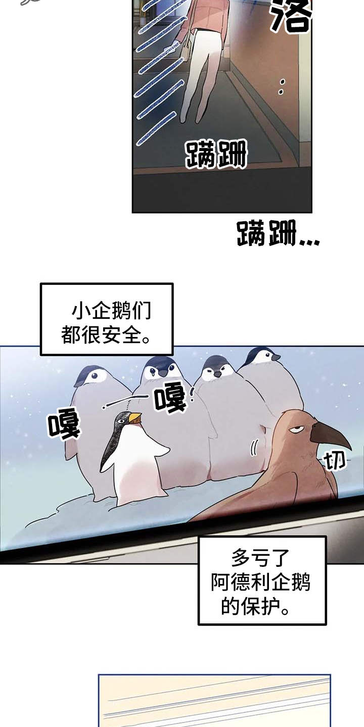 第26章：直播8
