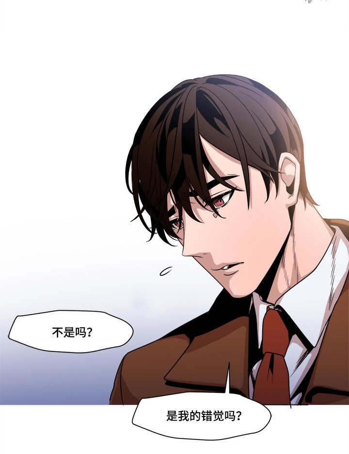第45章：错觉吗15