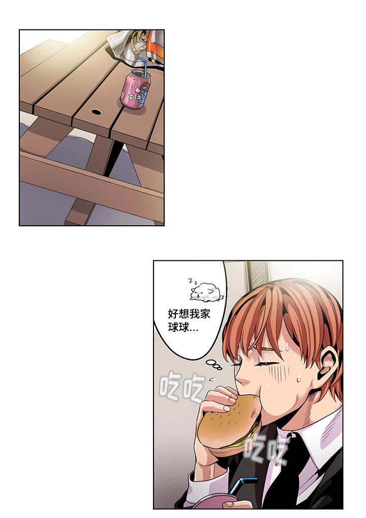 第22章：疲惫不堪11