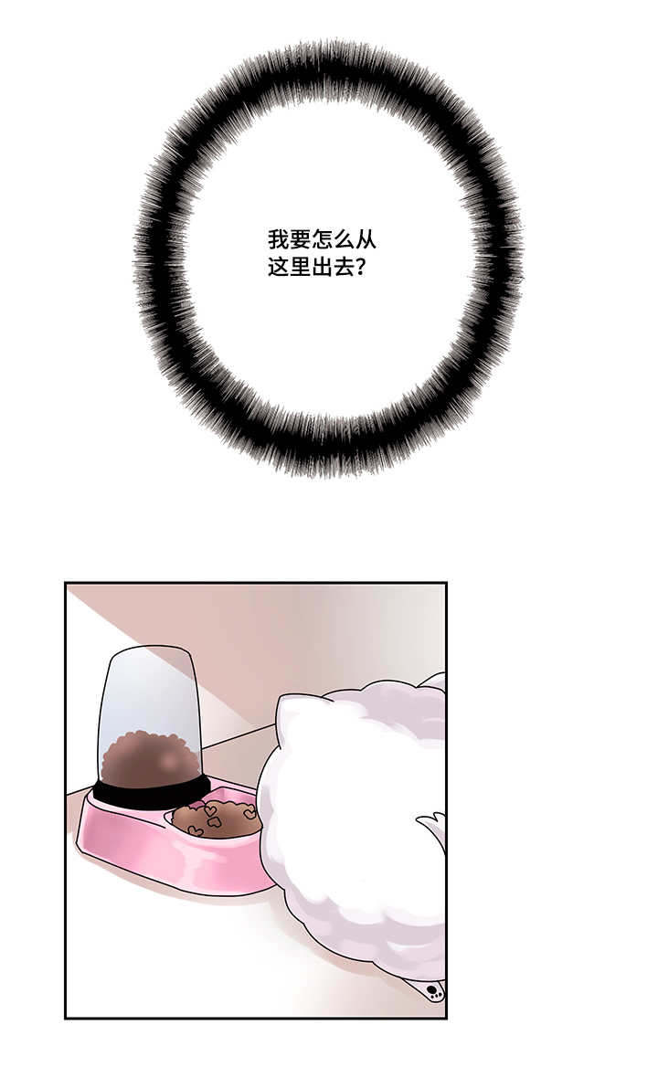 第18章：我该怎么离开8