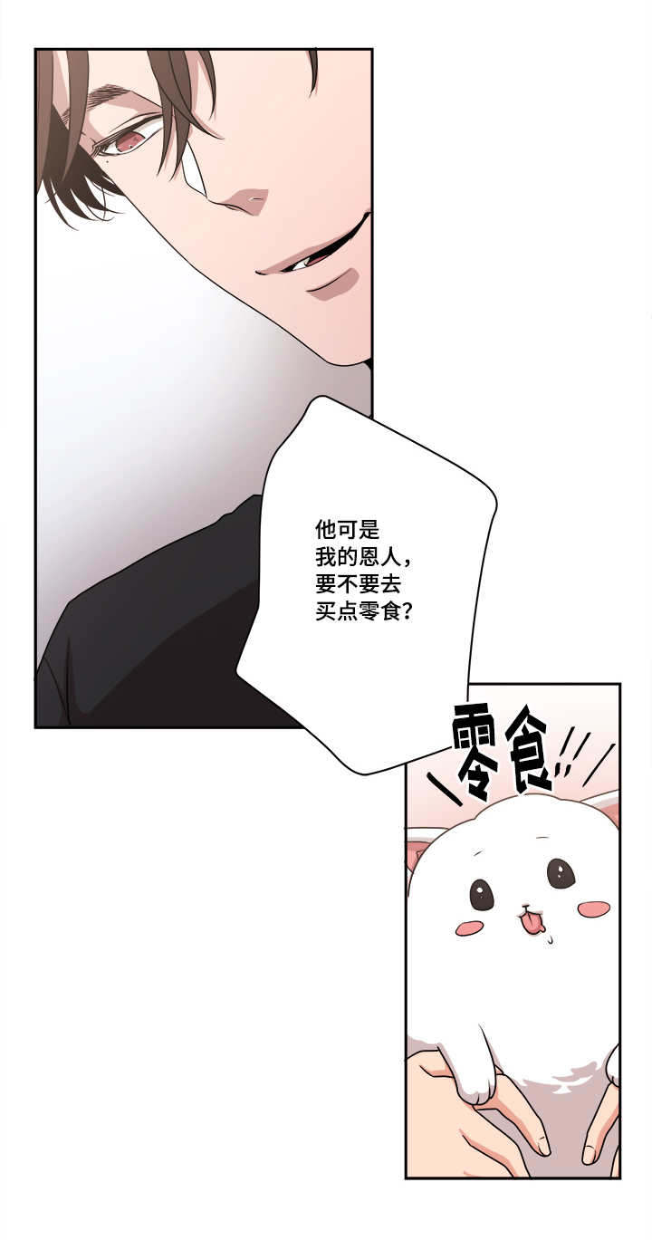 第48章：球球的助攻(完结撒花)17