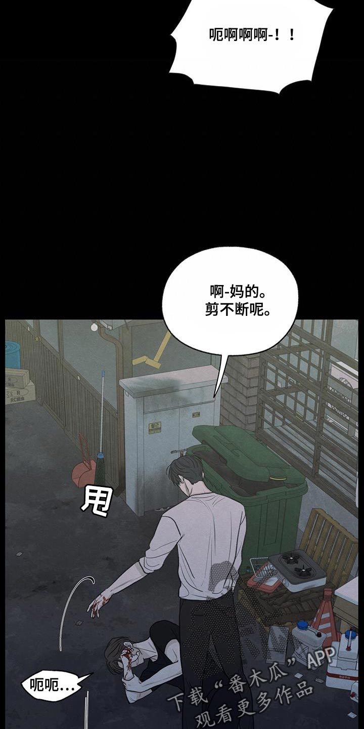 第81章：【第二季】流血1