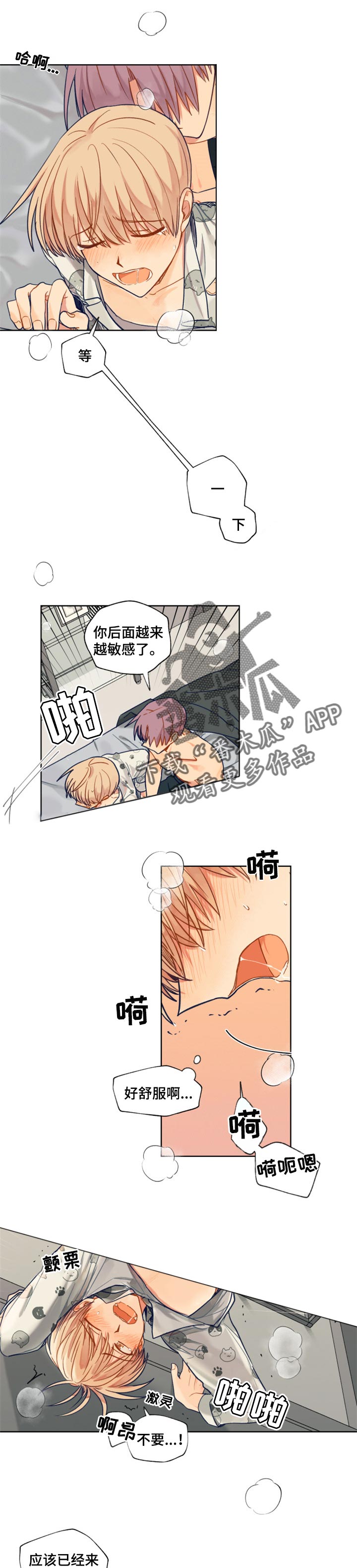 第64章：主导4