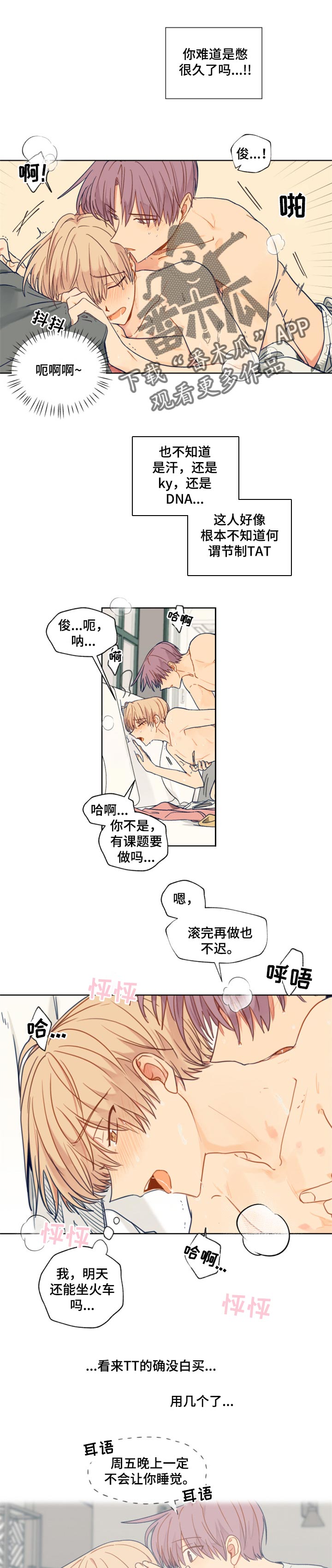 第52章：梦境0