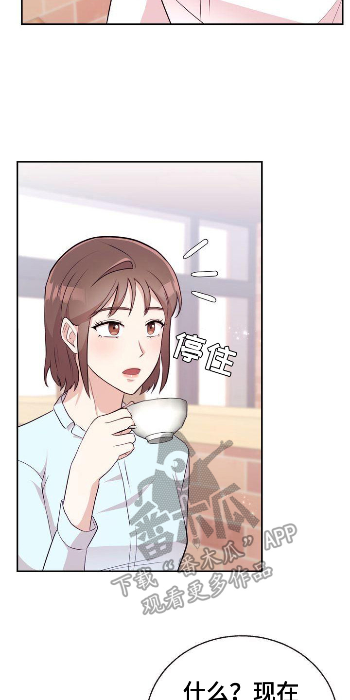 第10章：解释19