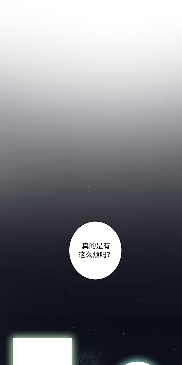第3章：关注12