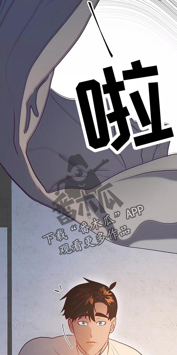 第81章：你醒了24