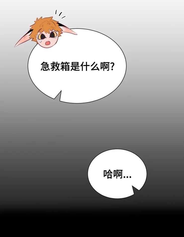 第36章：王国庆典12