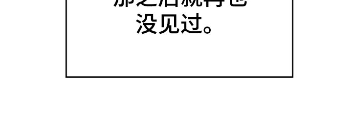 第31章：海市蜃楼17