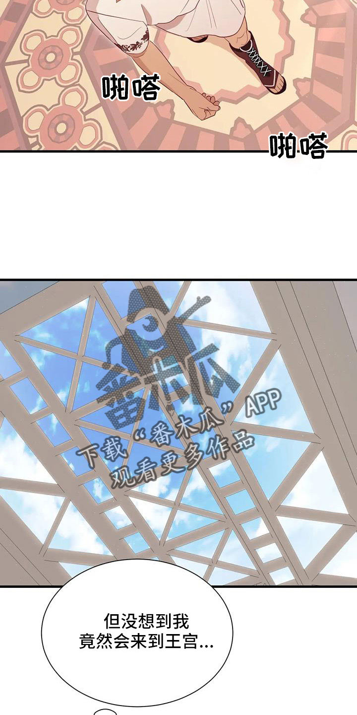 第113章：到底是谁5