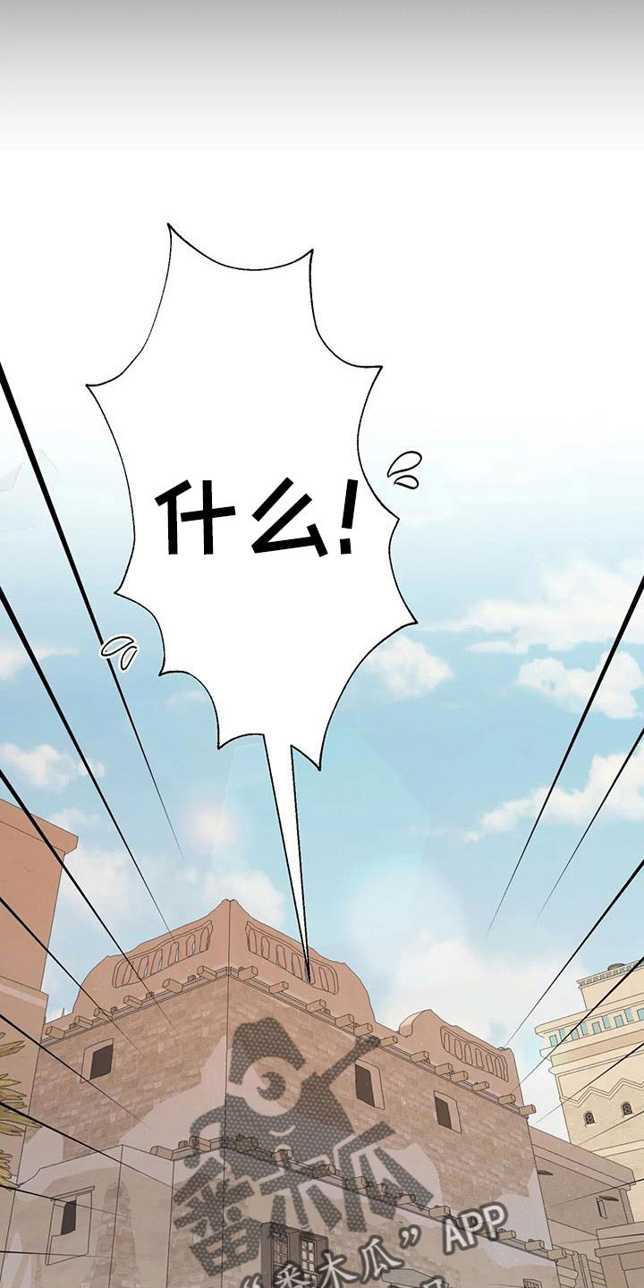 第113章：到底是谁15