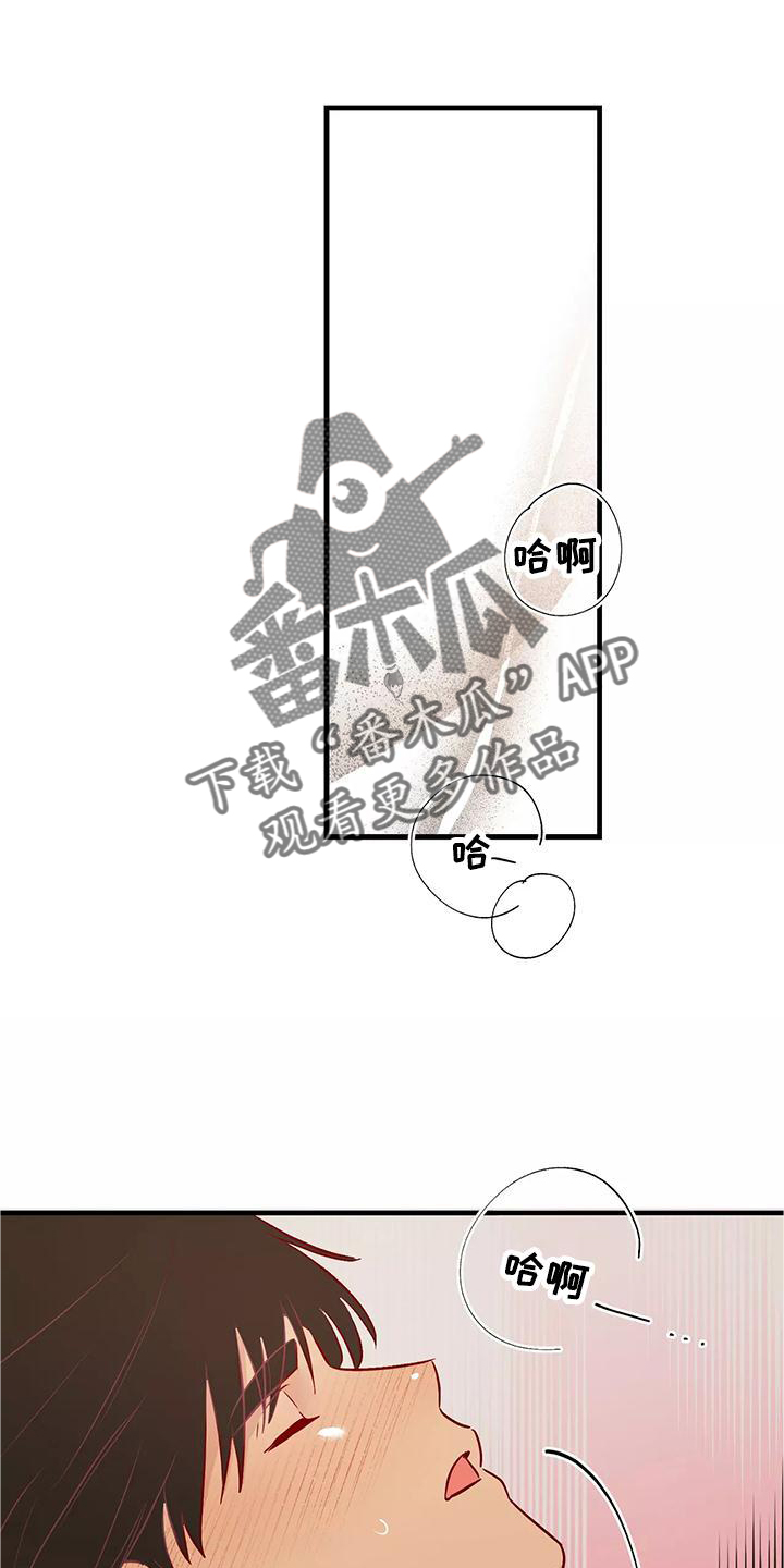第84章：互相的心意24