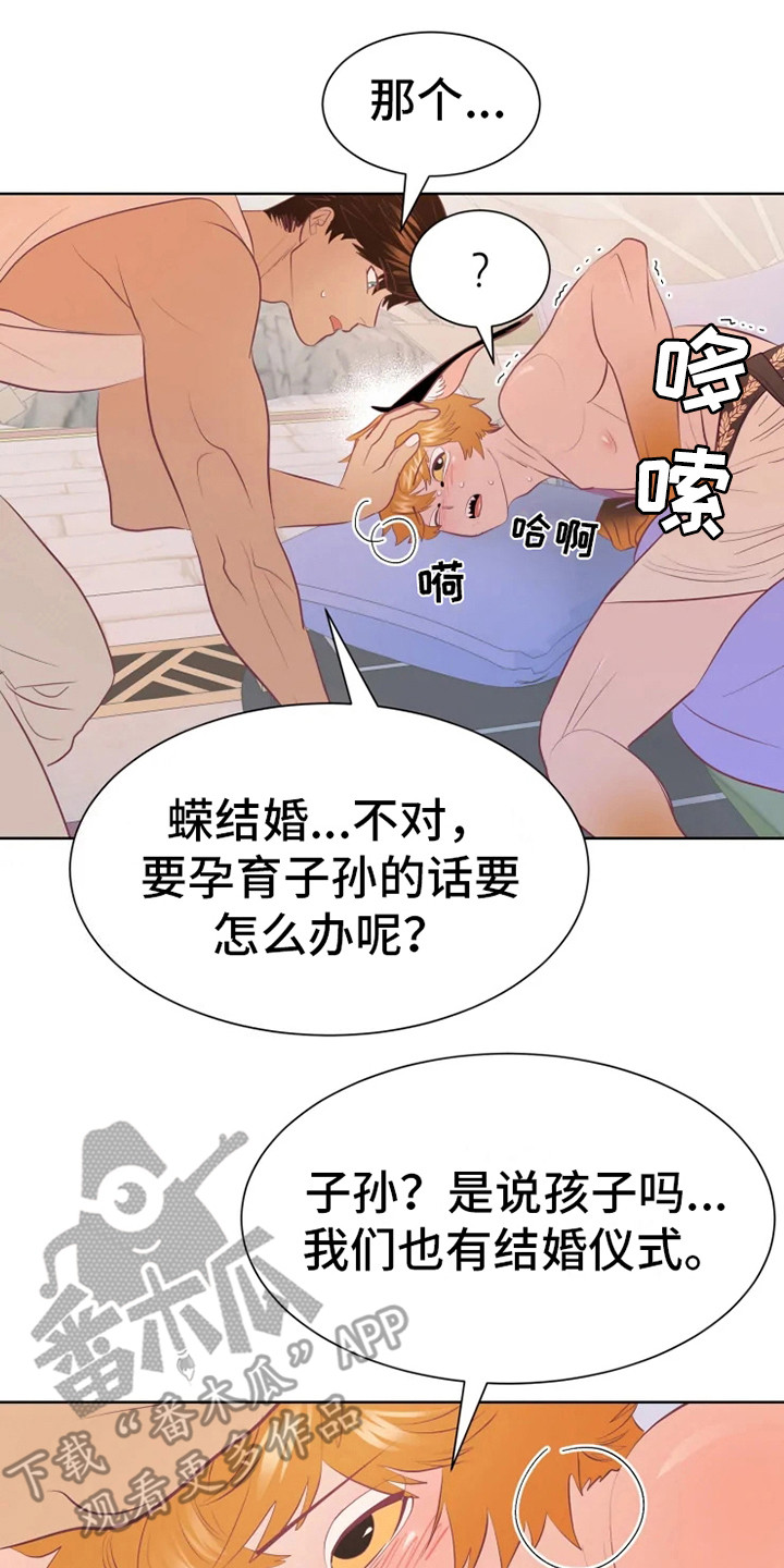 第17章：帮忙0