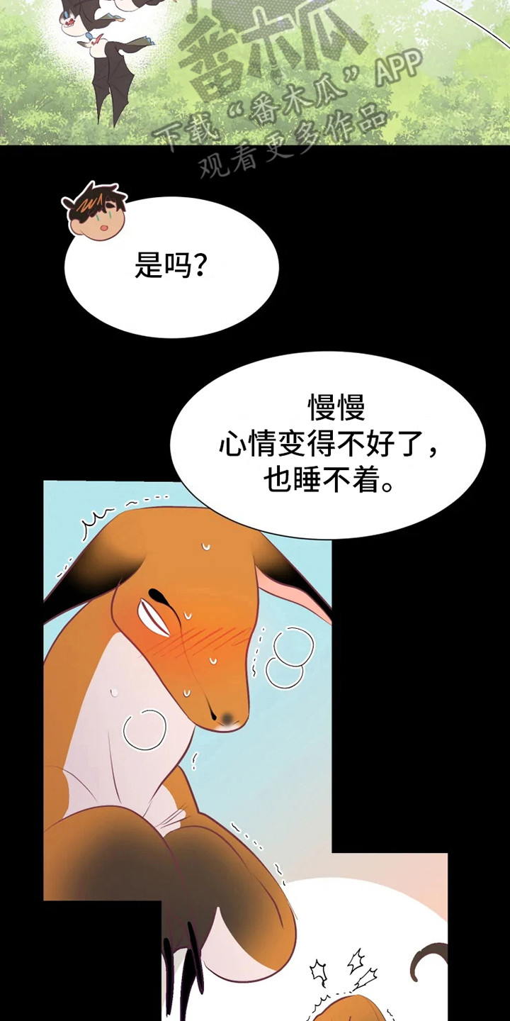 第16章：症状11