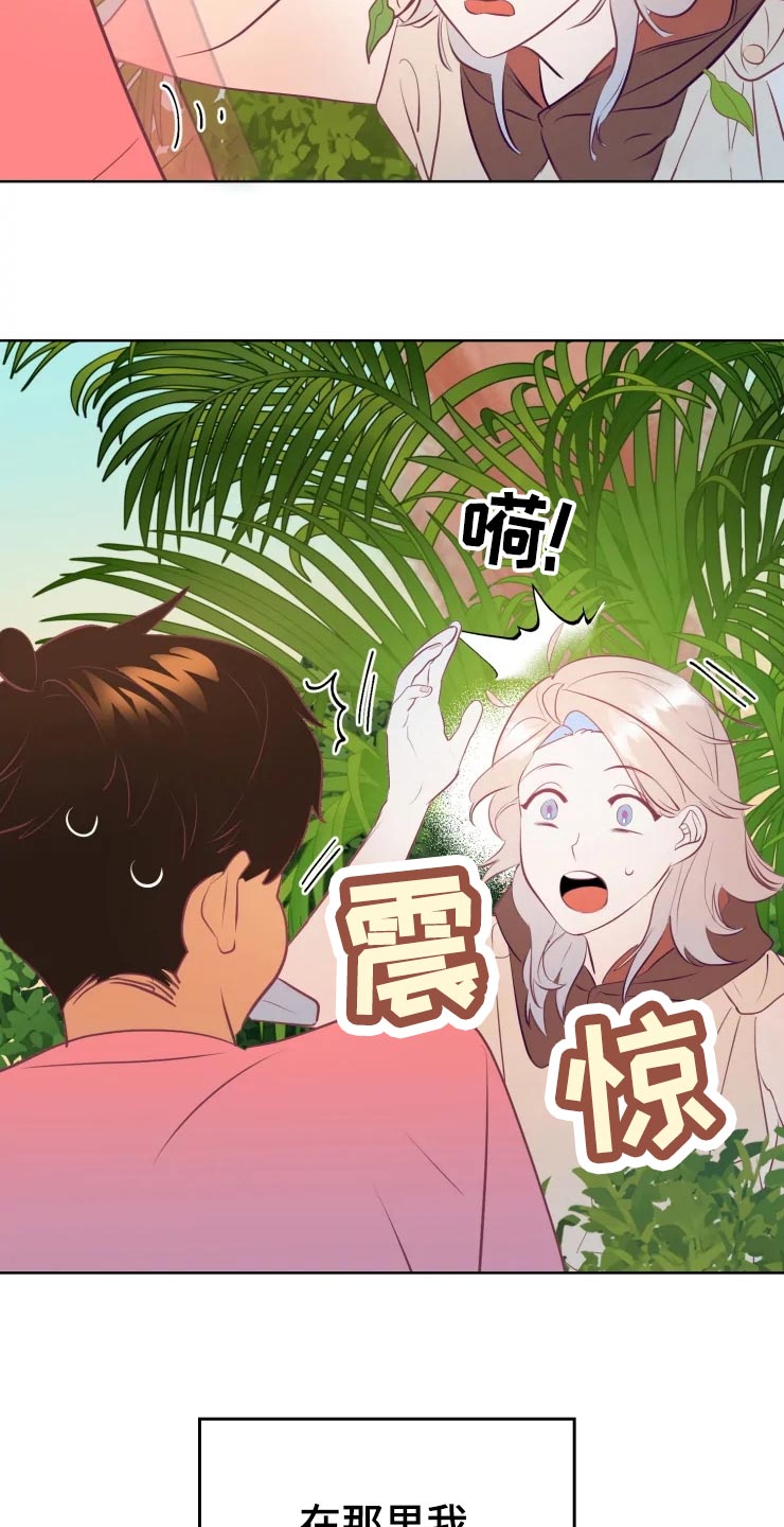 第29章：初恋25