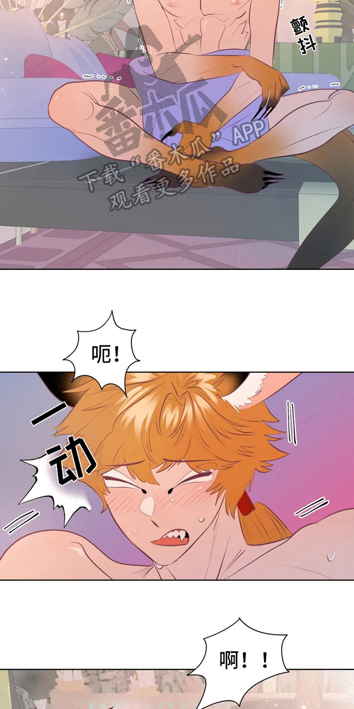 第16章：症状14