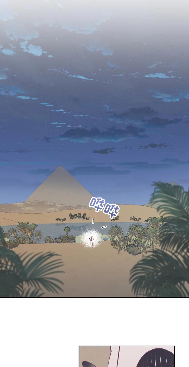 第37章：未知生物21