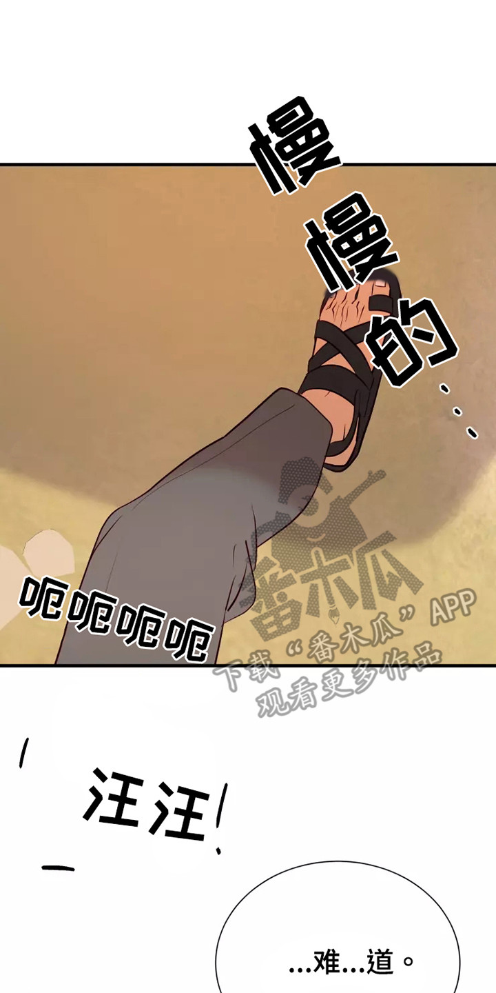 第49章：快跑8