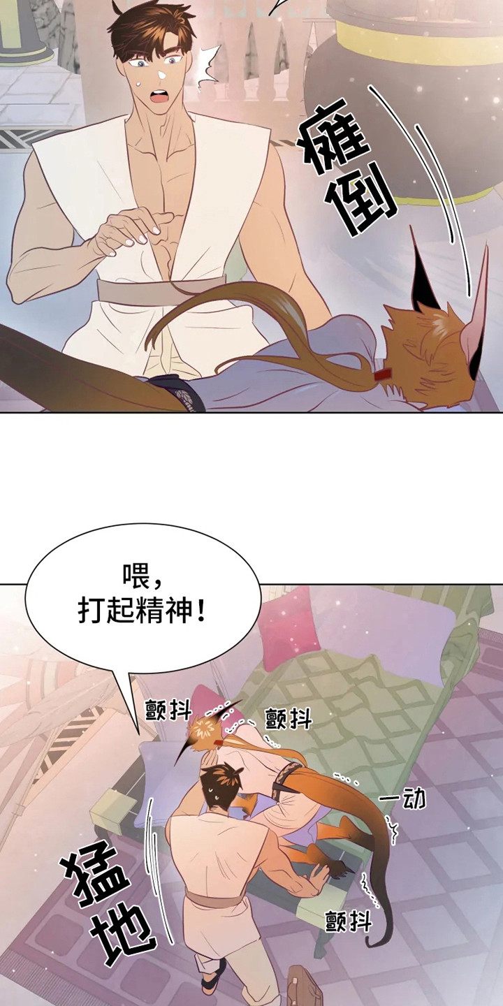 第16章：症状15
