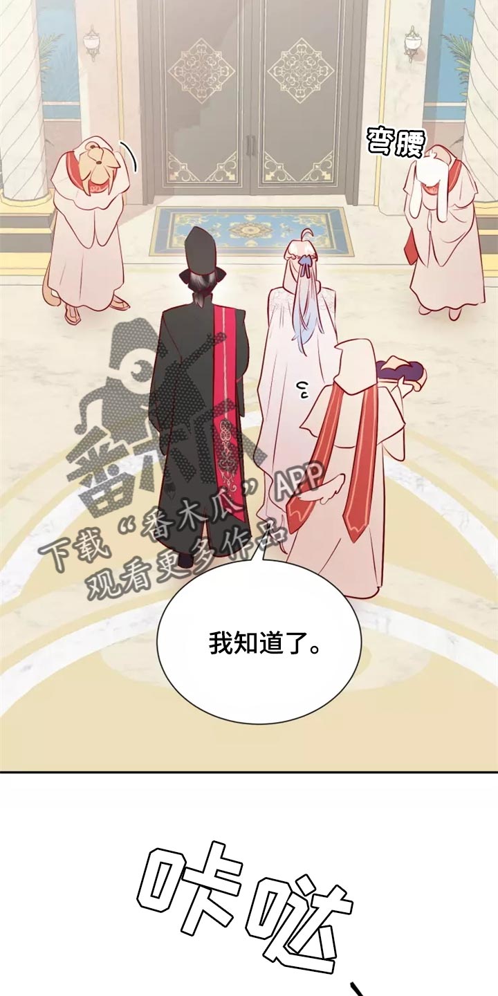 第40章：药品7
