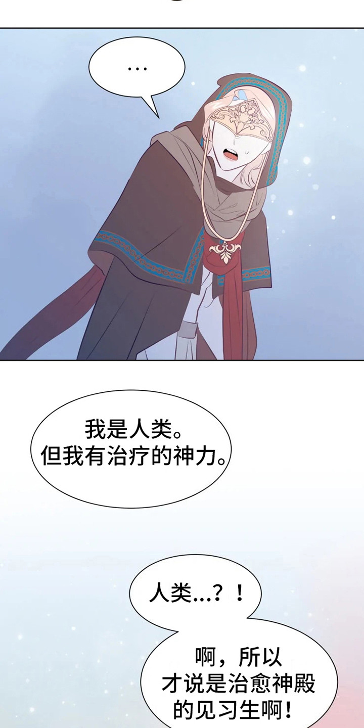 第14章：蝾和秃鹰13