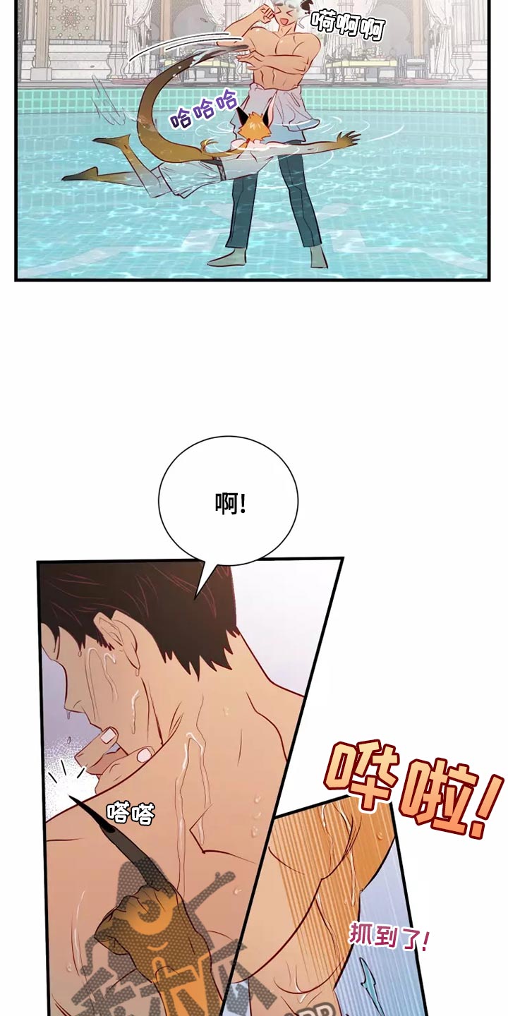 第63章：意外16