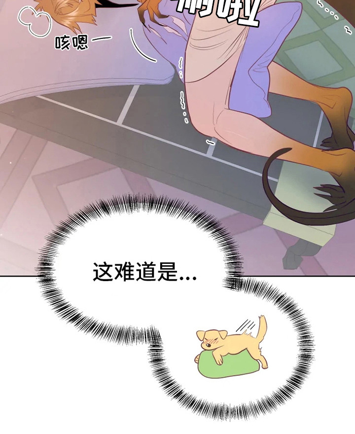 第16章：症状17