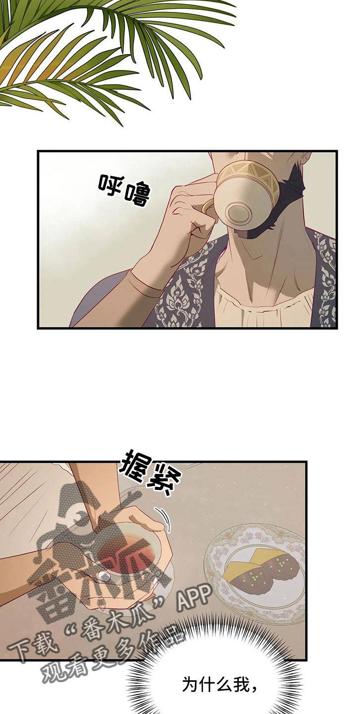 第114章：机密1