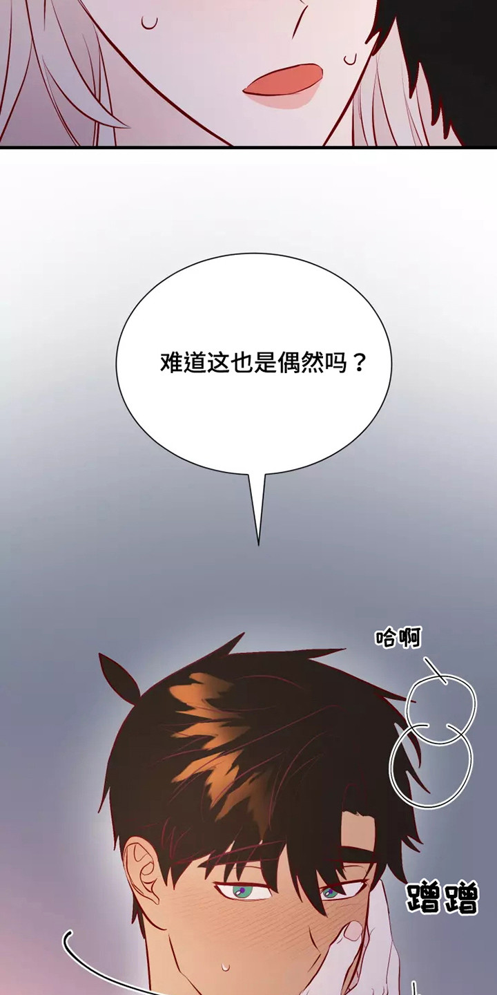 第53章：不是偶然14