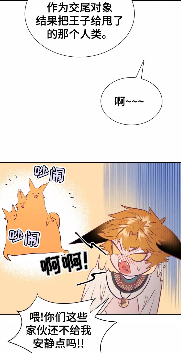 第38章：庆典当天18