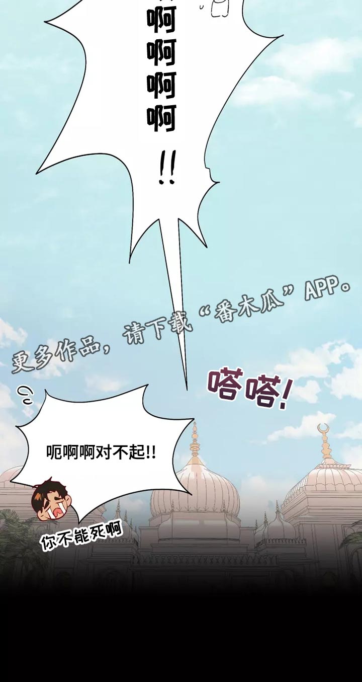 第65章：果然很像31