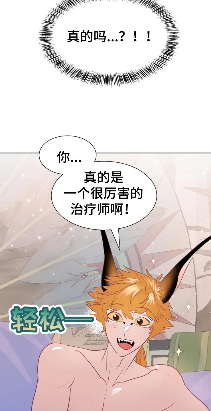第20章：最好的治疗师17