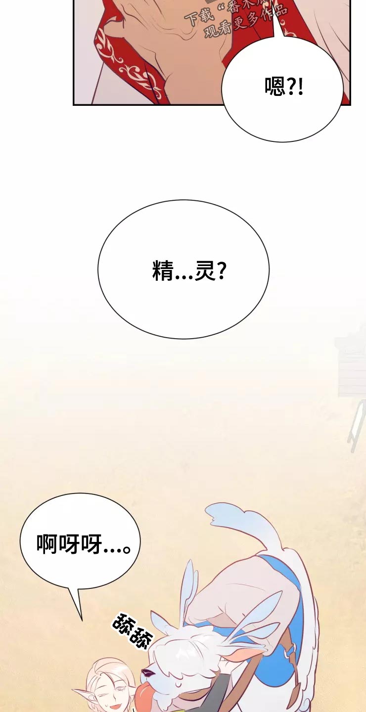 第39章：精灵族29