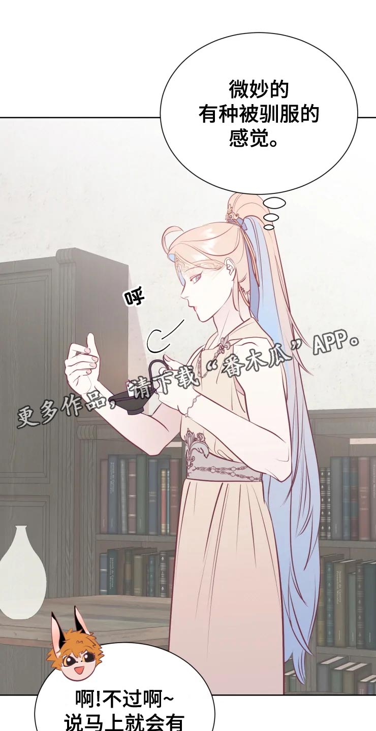 第36章：王国庆典22