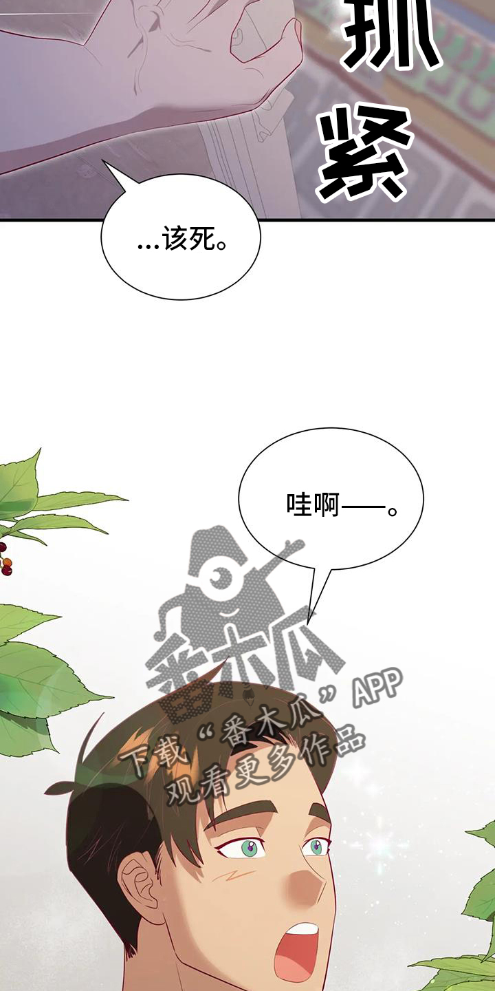 第123章：开心7