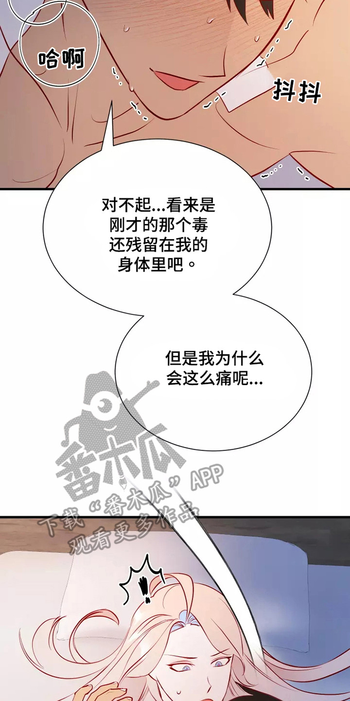 第54章：一见钟情13