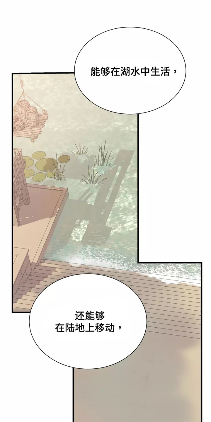 第49章：快跑17